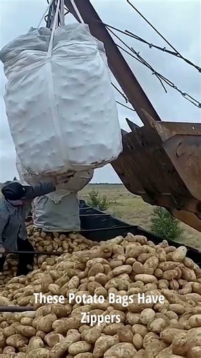 The "Exploding" Potato Bag