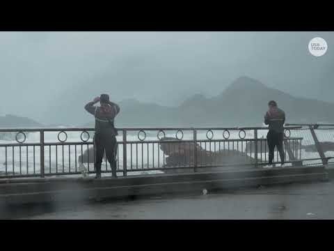 Typhoon Champi hits Taiwan: Raw footage shows with powerful waves, rain and wind damage in streets