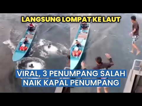 Viral, Salah Naik Kapal, Tiga Penumpang Lempar Barang dan Nekat Lompat ke Laut