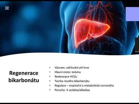 Oxid uhličitý (CO2)