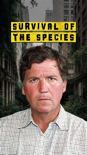 Tucker Gets Heated Hearing This…
