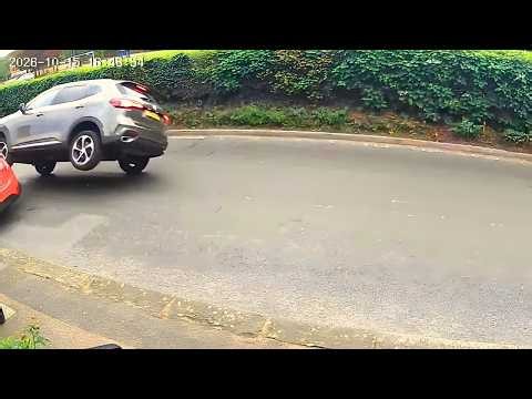 IDIOTS IN CARS #202