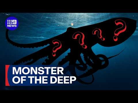 What giant marine creature is lurking off Australia's coast? | 9 News Australia