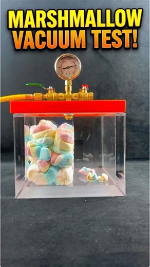 3 Marshmallows in a Vacuum Chamber – Expand & Shrink Experiment!