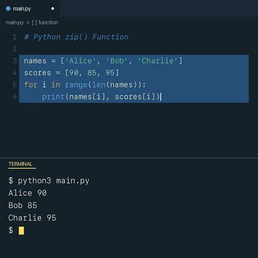 How Senior Python Devs Loop 2 Lists at the Same Time! 🤐 #shorts