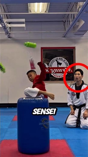 6 Bottle Kick Challenge – Taekwondo Edition! 🥋💥