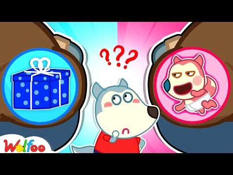 My Dad Has a Baby? Wolfoo Kids Stories | Cartoons For Kids | Wolfoo Family