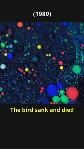 Exxon Valdez 1989 Oil Spill: The Tragic Bird Deaths & Invisible Oil 🐦
