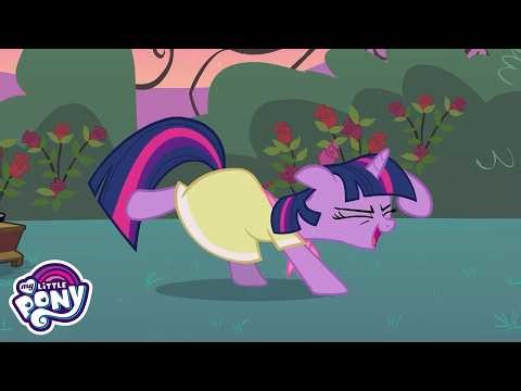 Birthday Special ✨ Twilight Sparkle Princess Double Episodes | Friendship Is Magic Full Episodes