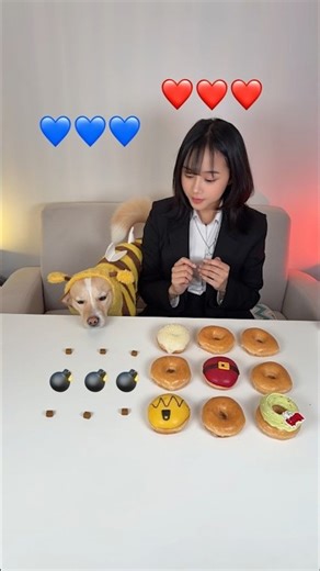 Boom Challenge with my dog 🐕