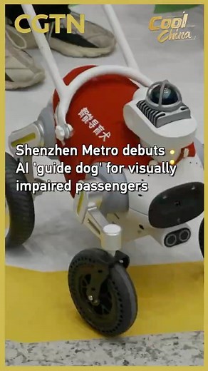 Shenzhen Metro debuts AI 'guide dog' for visually impaired passengers