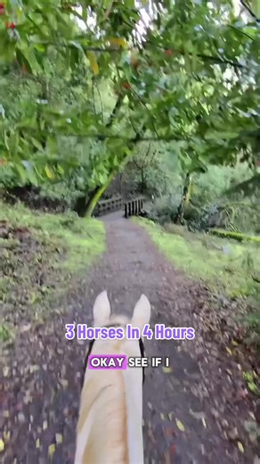 Exercise Four Horses in Three Hours: Tips and Tricks