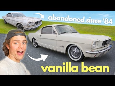 *TRANSFORMING* And Upgrading My Abandoned '66 Mustang Fastback! (Vanilla Bean Pt.2)