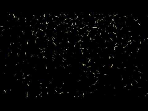 Gold Confetti Celebration Background | Luxury Party Animation in 4K