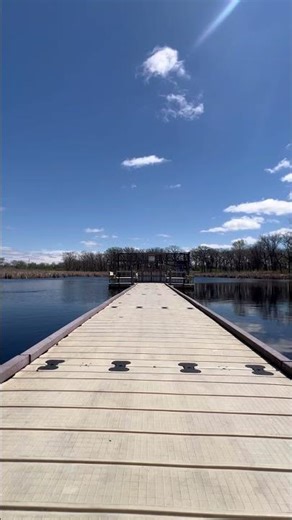 The Most Peaceful Natural Area I’ve Found Yet | Lincoln Marsh ASMR (Wheaton, IL)