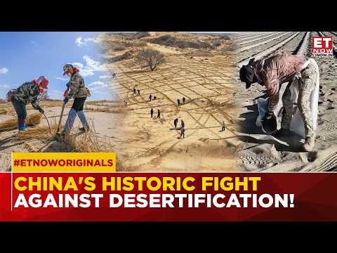 Can China Defeat The Desert? The Green Great Wall Is Changing Everything | NATURE'S BIGGEST COMEBACK