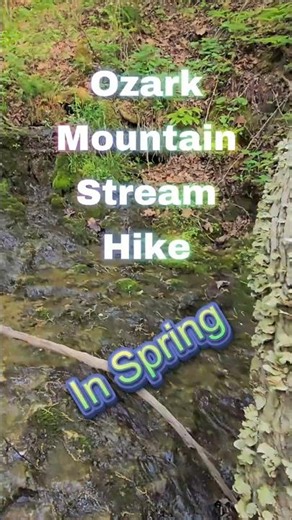 Ozark Mountain Stream Hike.... In Spring #hike #nature #woods #asmr #springvibes #stream #shorts