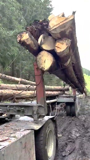 Efficient Loading Method – Winch System for Side Loading Logs