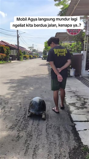 Perjalanan ke Alfamart dengan Pet Reptil