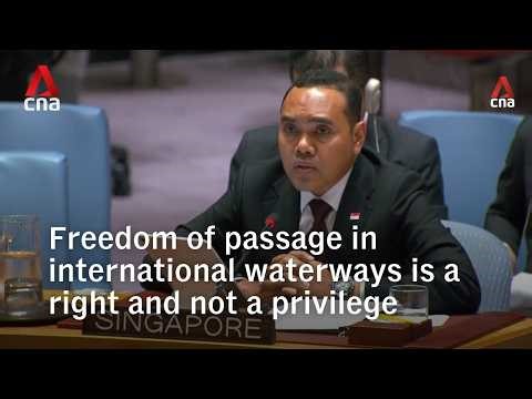 Singapore reaffirms freedom of passage in international waterways is 'right not privilege'
