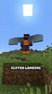 I Tested the Elytra Hack @Voice.gaming Uses