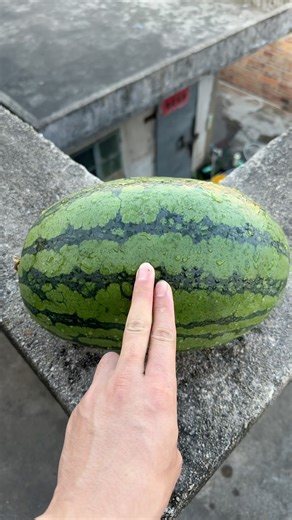 Experiment: Will a watermelon explode if it rolls off a tall building? 🍉💥#shorts