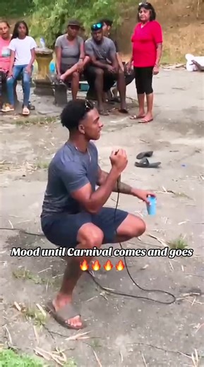 Trinidad Carnival Vibes: Celebrating Culture and Community