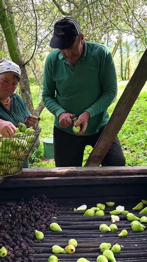 Rustic outdoor cooking over open fire transforms green fruits into a delightful, traditional dish. Embracing nature's flavors and warmth. #OutdoorCooking #FreshIngredients #TraditionalRecipe #Cooking | Life of Julia