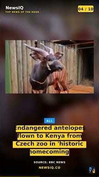 Top 10 News Right Now ⚡ Breaking Stories You Must Know