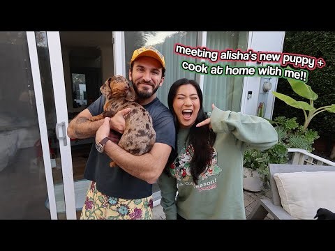 MEETING ALISHA'S NEW PUPPY + Cook At Home With Me!!