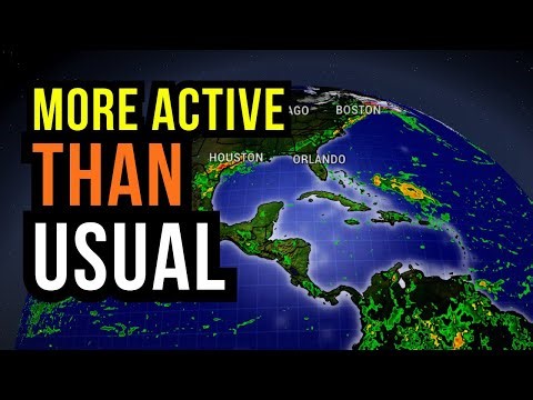 More Active than Usual...