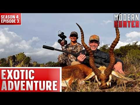 Exotic Adventure | Modern Hunter