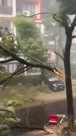 Severe Weather and Flooding in the USA 2025