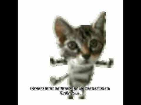 cat dances and explains particle physics at 0.1x speed then explodes #asmr