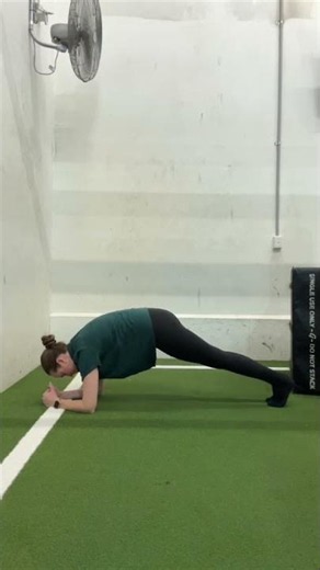 Plank (low bear set up)