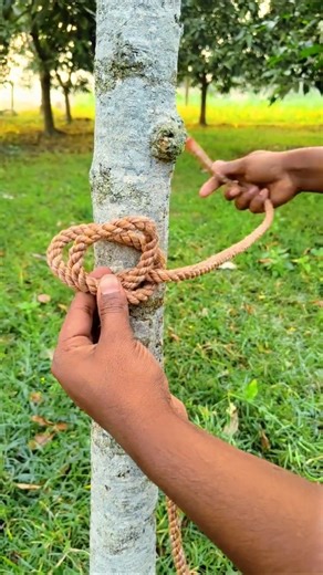 Easy technique for tying rope to a tree