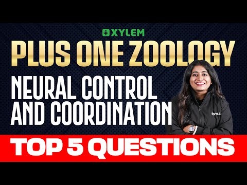 Plus One Zoology | Neural Control and Coordination | Top 5 Questions | Xylem Plus One