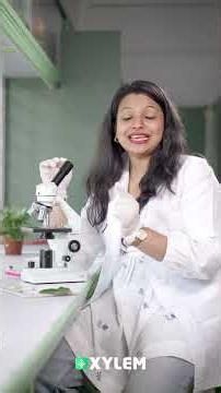 മൈക്രോസ്കോപ്പിലൂടെ Plant & Animal Cell കാണാം! 🔬