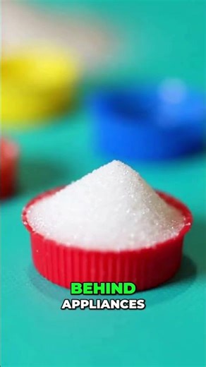 DIY Roach Killer That Actually Works (2 Ingredients) #roaches