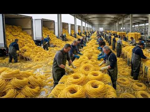 Mass-Scale Pasta Production: Processing Tons of Spaghetti Per Hour Inside the Factory