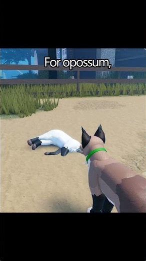 That's totally a cat, right? #warriorcatsultimateedition #wcue #roblox