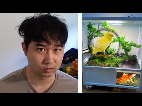 they made a fish tank WITH AN AVIARY | Fish Tank Review 338