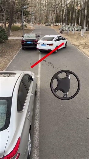 Parallel Parking Made Easy: Master the Technique!