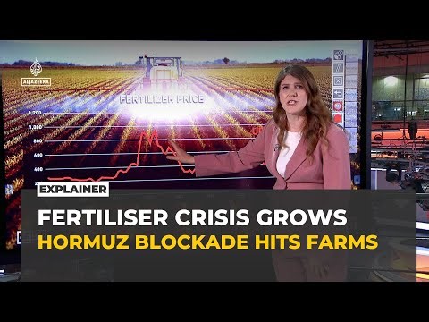How the Hormuz crisis could trigger a global food emergency