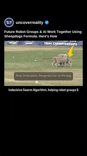Future Robot Groups & AI work Together Using Sheepdogs Formula. Here's How #robot #shorts #ai
