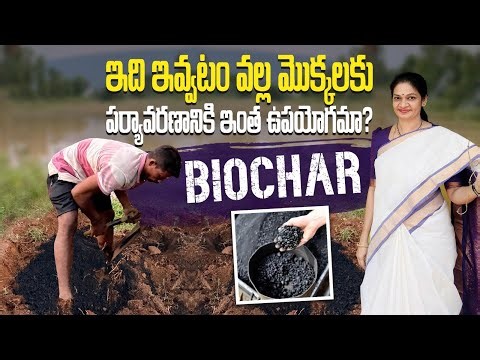 Biochar/ఒకసారి వాడటం వల్ల ఎన్నో సంవత్సరాలు పోషకాలు మట్టిలో నిలువ ఉంటాయి @MADGARDENER #farming 
