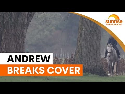 Prince Andrew spotted after fresh Epstein allegations emerge | Sunrise