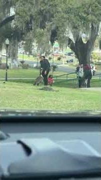 Aggressive Goose Chases Pedestrian Off Sidewalk