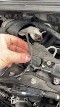 ford focus cam sensor with oil introducing its self to the wiring loom, i've caught it just in time