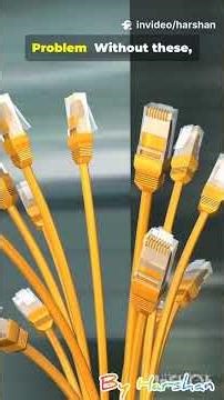 What are the accessories in Structured Cabling-UTP